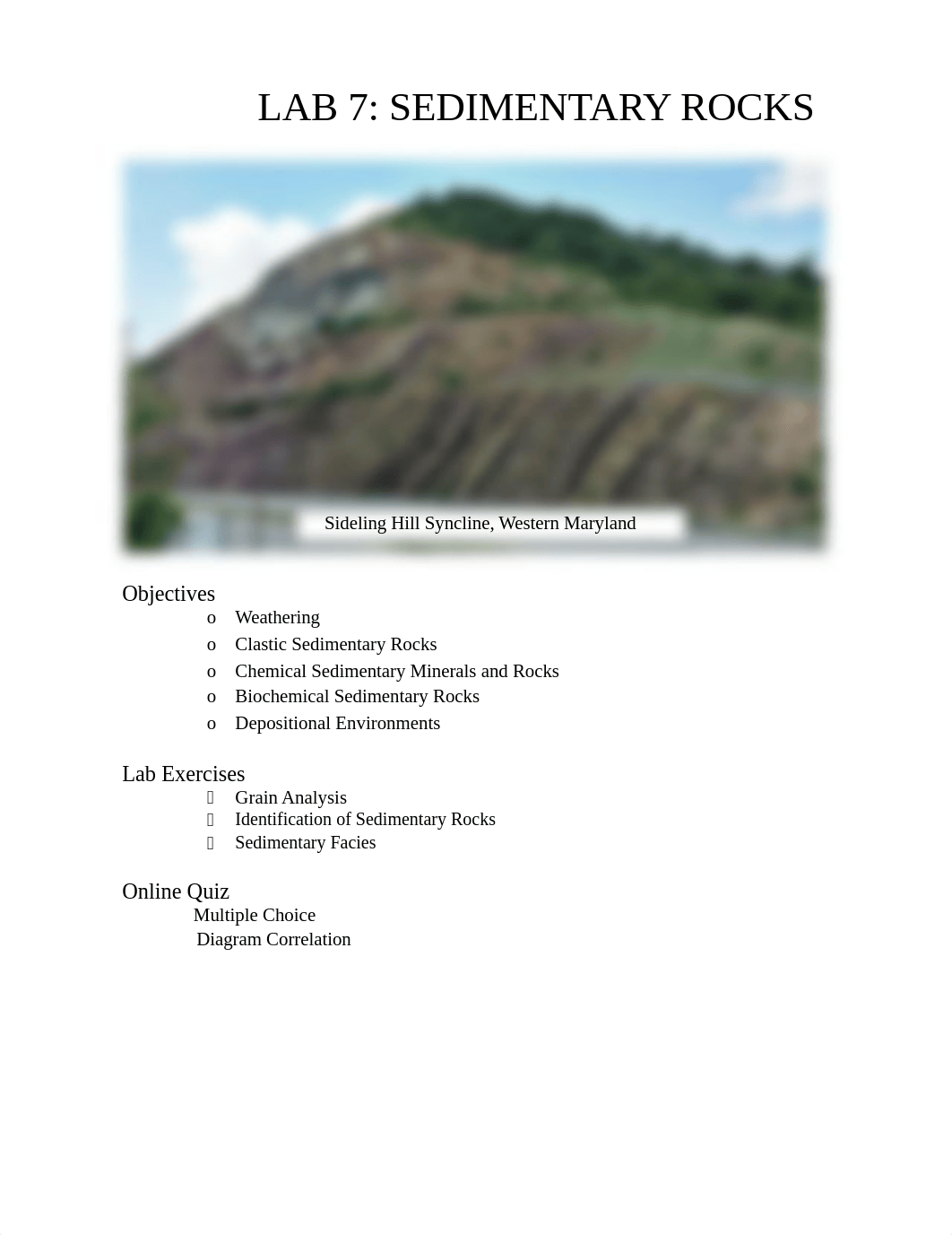 Lab 7 Sedimentary Rocks SF20.docx_dn191lg2orz_page1