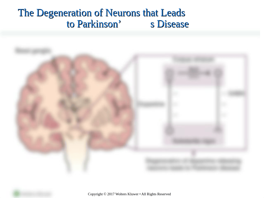 Chapter_24.ppt_dn1avjh3cz6_page5