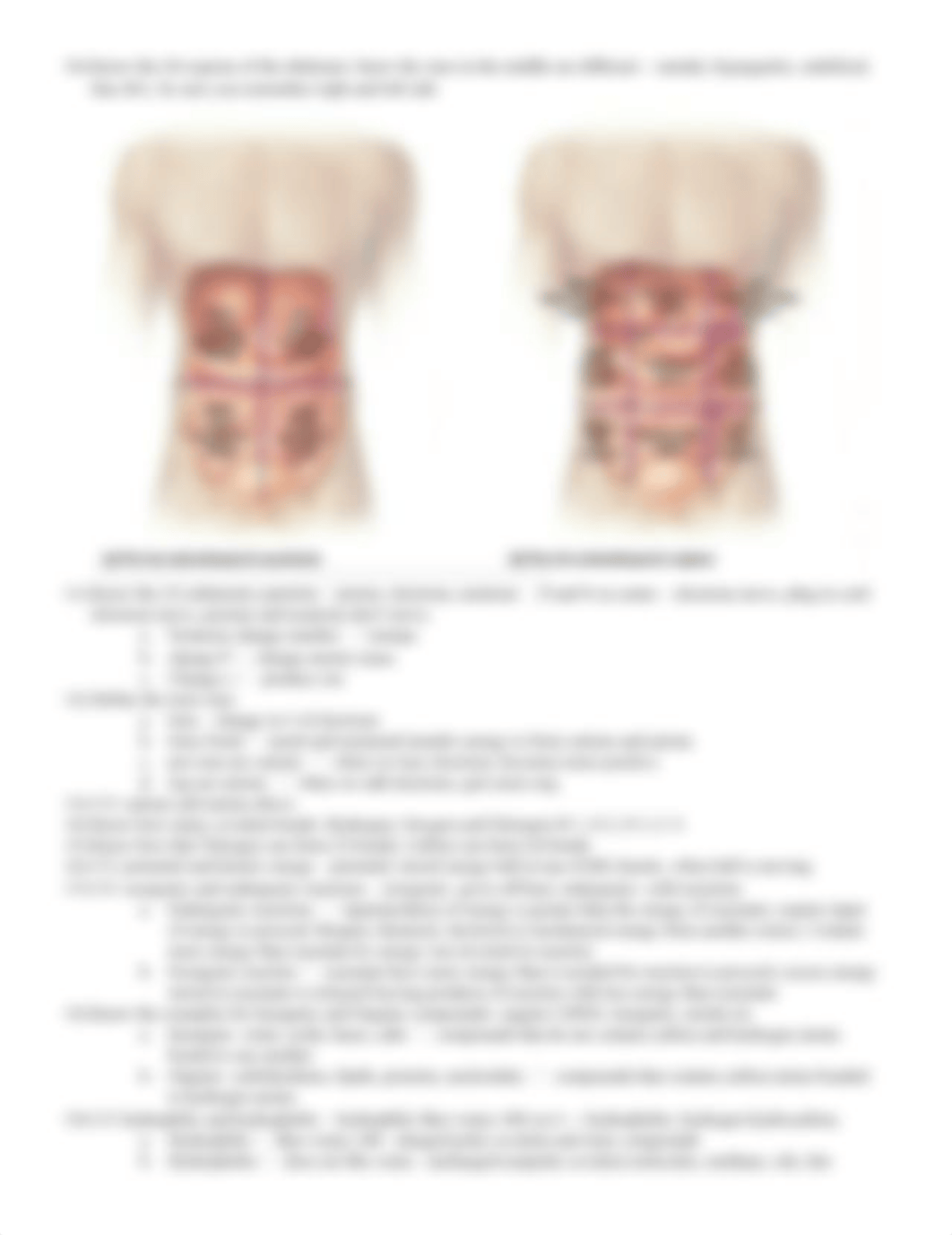 BIO211_Review.Exam.1._Lec.docx_dn1c05nr3f1_page2