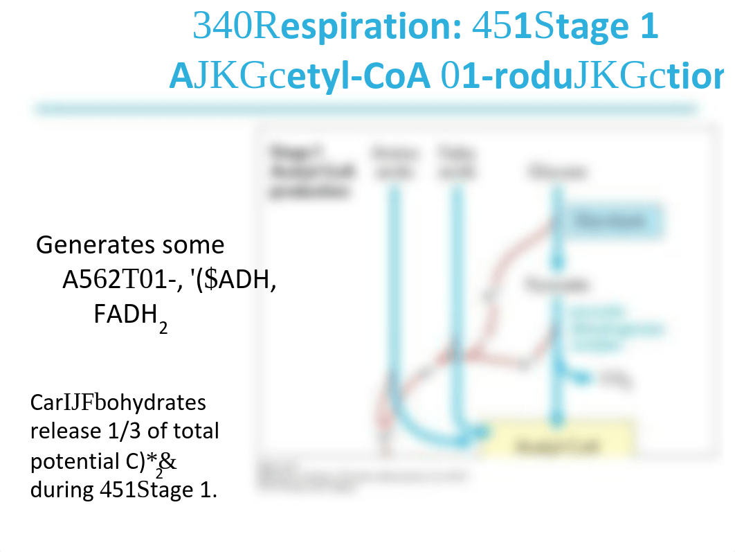 Lehninger_7e_PPT_ch16_Final.pdf_dn1j1op6jgs_page5