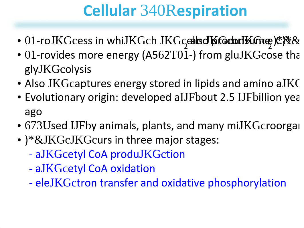 Lehninger_7e_PPT_ch16_Final.pdf_dn1j1op6jgs_page4