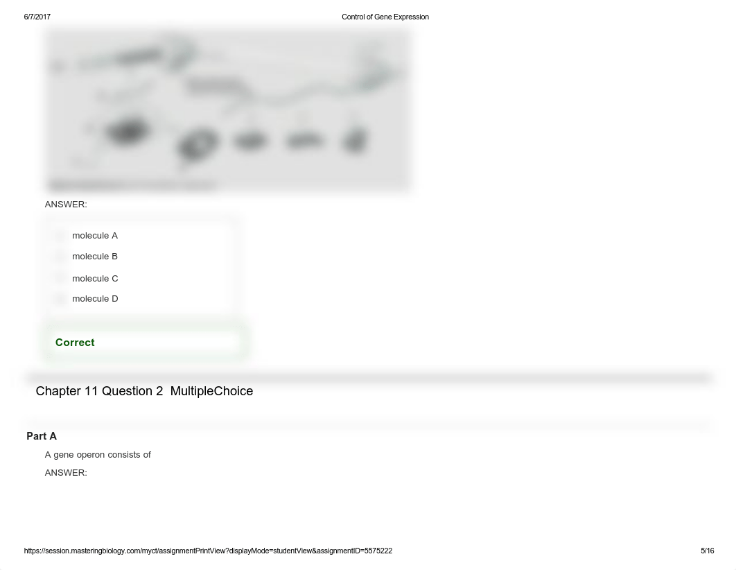 Control of Gene Expression hw.pdf_dn23i08bmre_page5