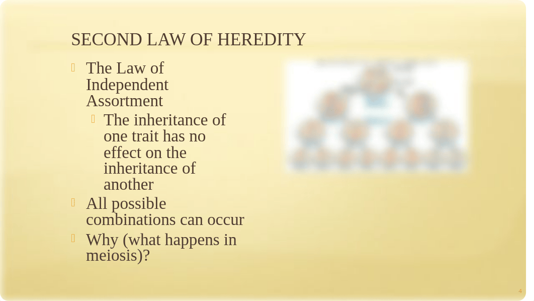 Chapter 9 Patterns of Inheritance, part 2_dn2liqrv9i5_page4