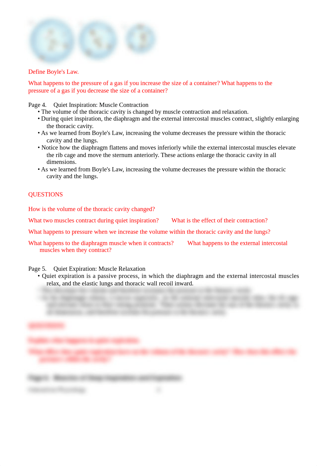 Pulmonary_Ventilationstudyguide.doc_dn2ltvd2wet_page2