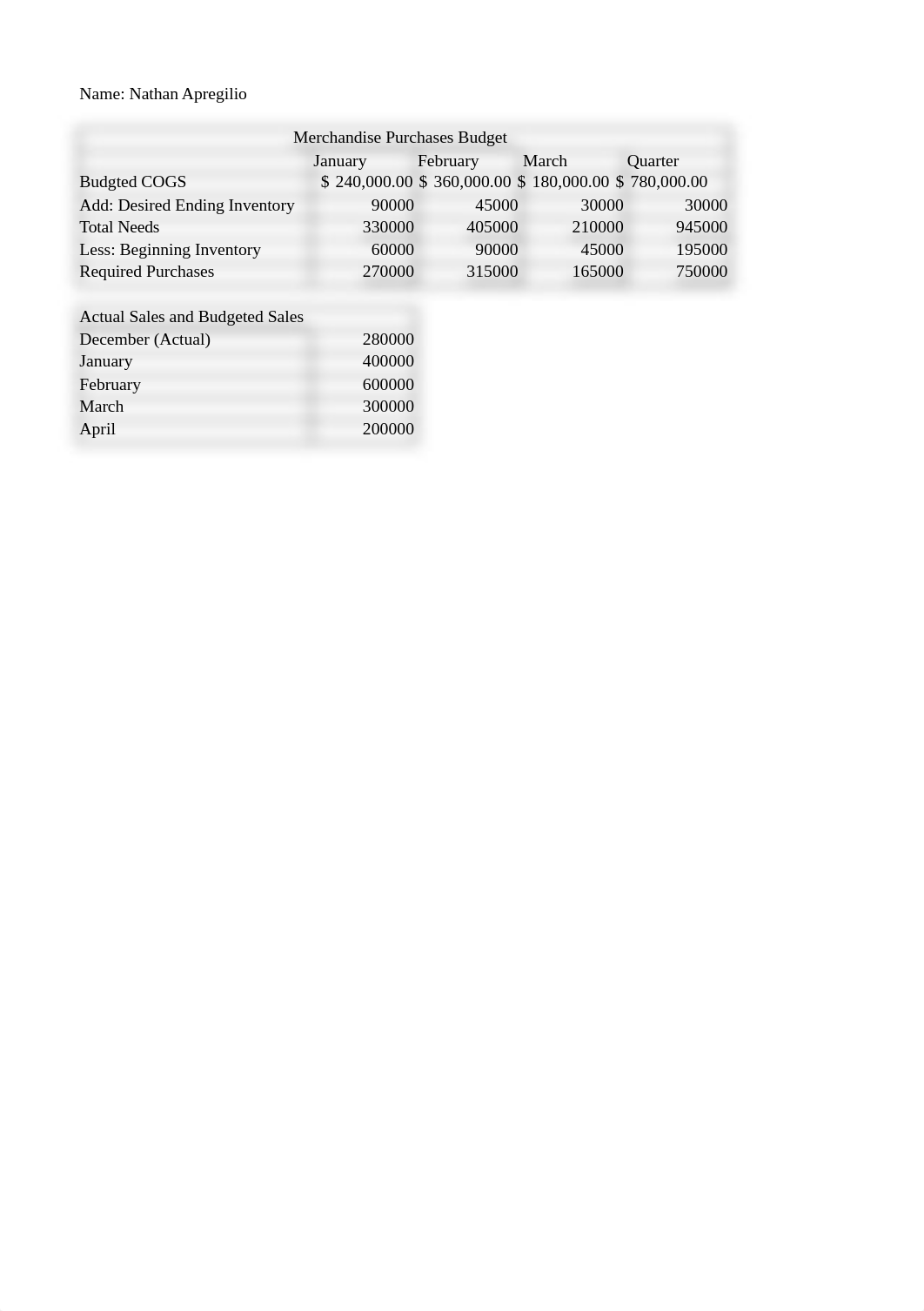 Nathan Apregilio - Master Budget Project ACC 311 SU-19.xlsx_dn2n74tqm0y_page2