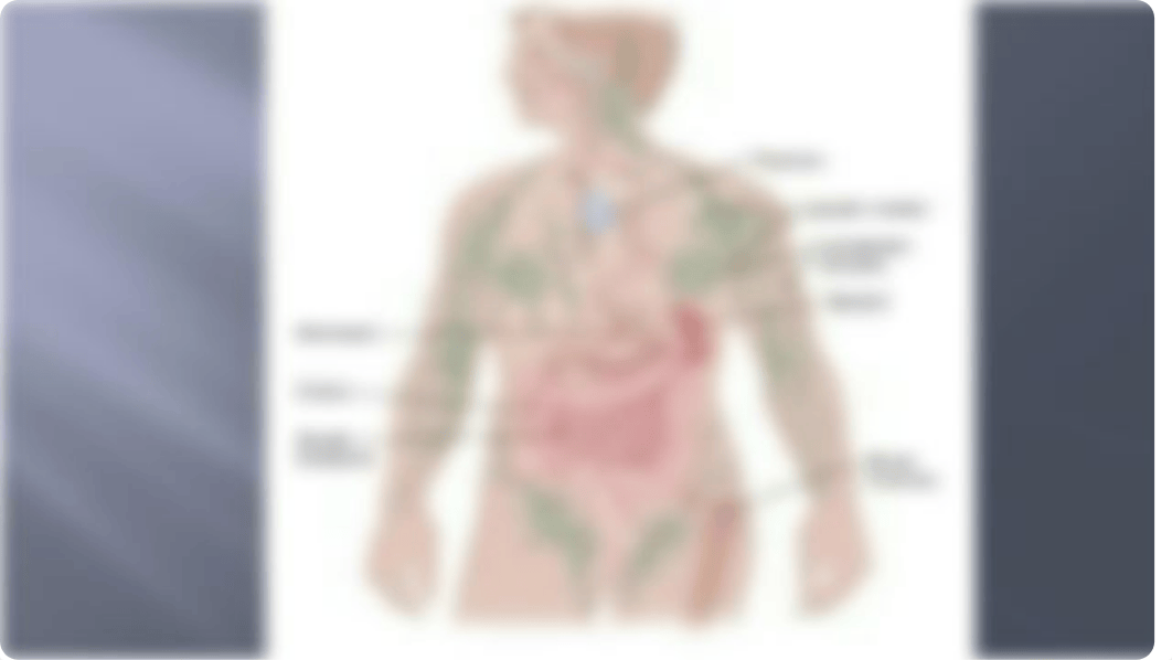 The lymphatic System and how it works power point week 2 ASSIGNMENT.pptx_dn2n9fdq6uq_page4