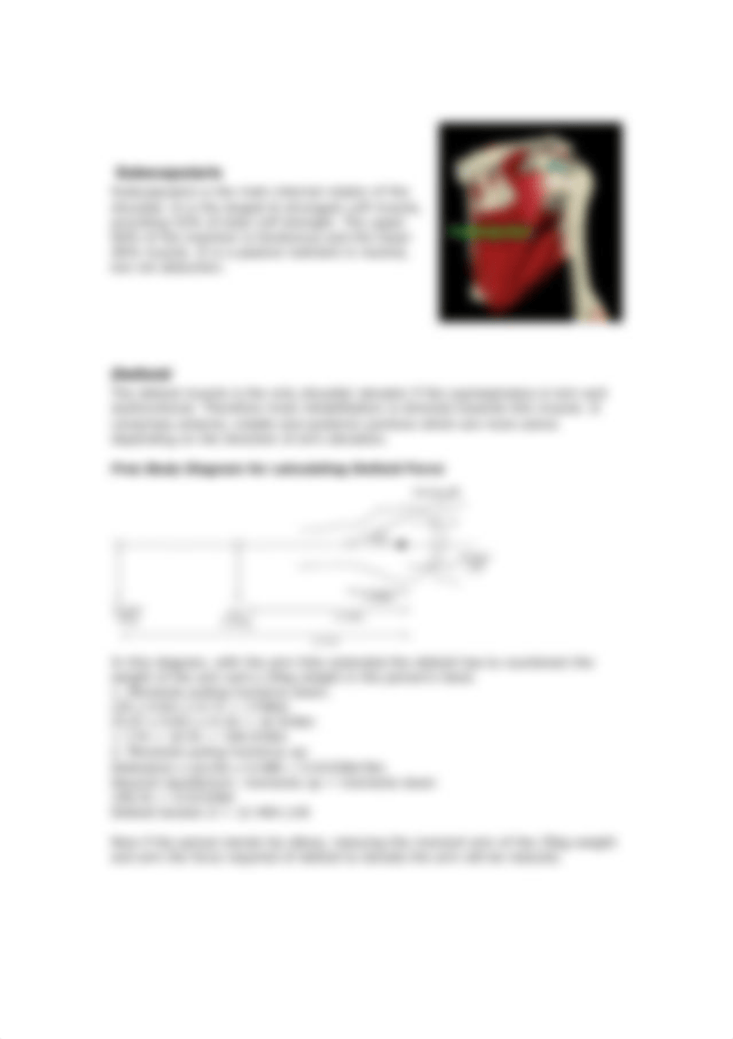 rotator_cuff_mechanics.pdf_dn2zz9kcnwn_page2