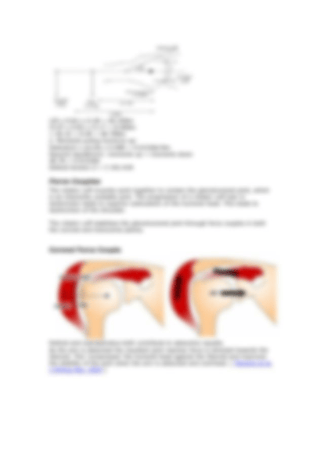 rotator_cuff_mechanics.pdf_dn2zz9kcnwn_page3