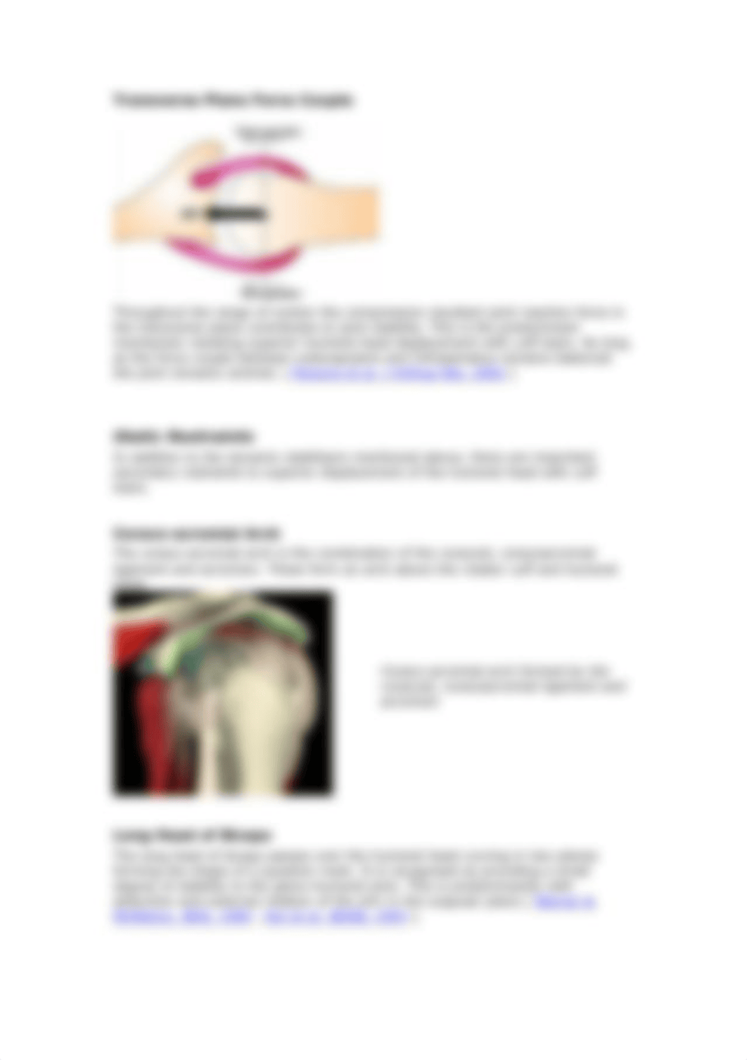 rotator_cuff_mechanics.pdf_dn2zz9kcnwn_page4