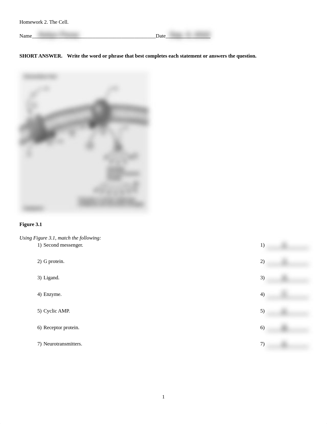 HW 3. The Cell. Structure and Function copy.pdf_dn307eaq6l8_page1