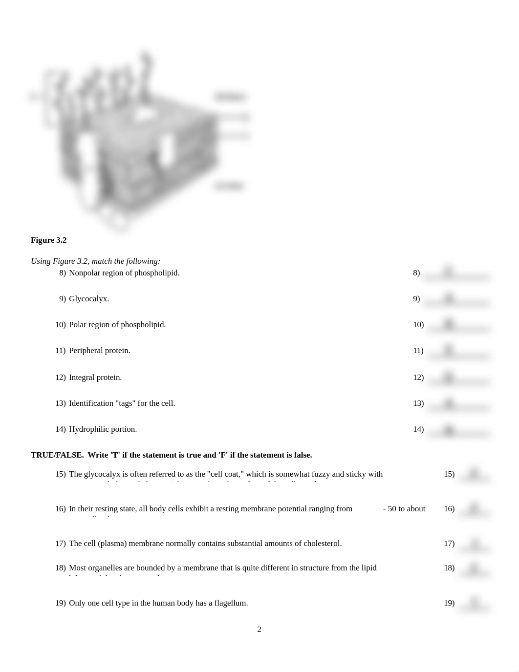 HW 3. The Cell. Structure and Function copy.pdf_dn307eaq6l8_page2