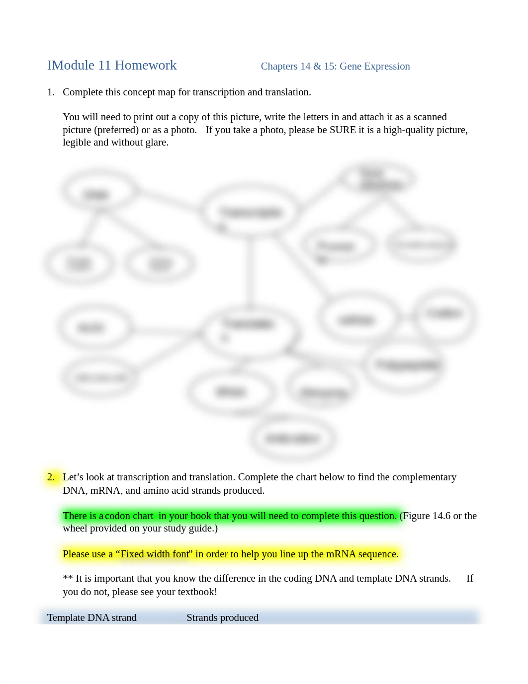 UTF-8''Module%2011%20Homework%282%29.docx_dn32zo0wpxt_page1