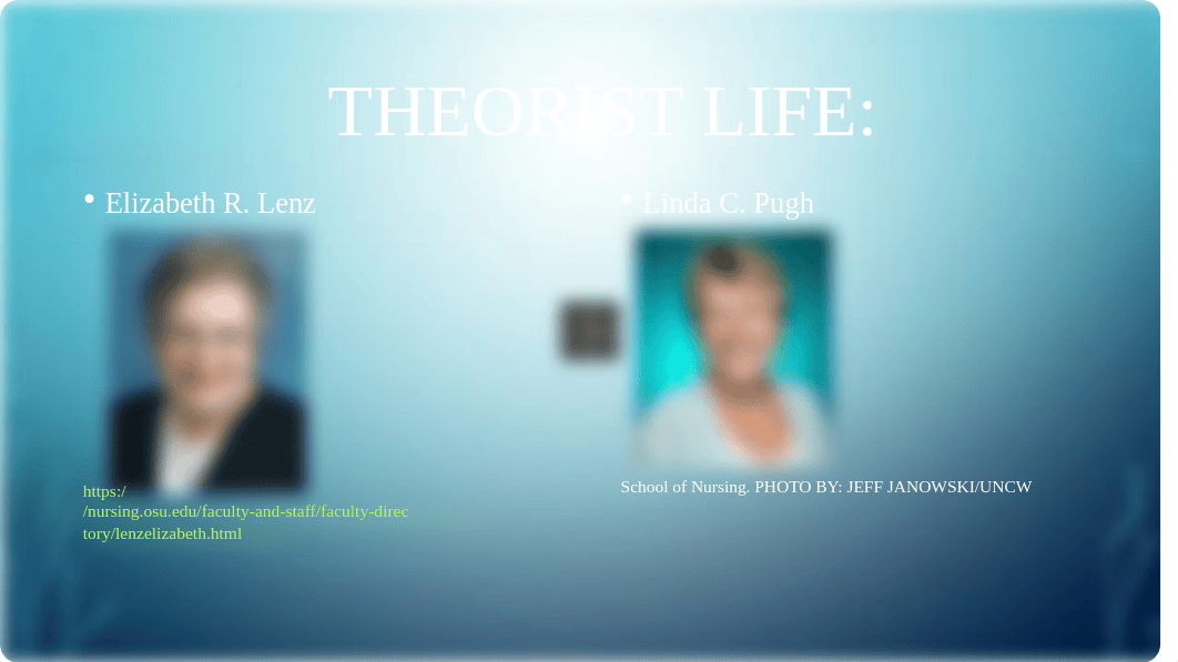 theorist and theory powerpoint.pptx_dn3ifau596n_page3