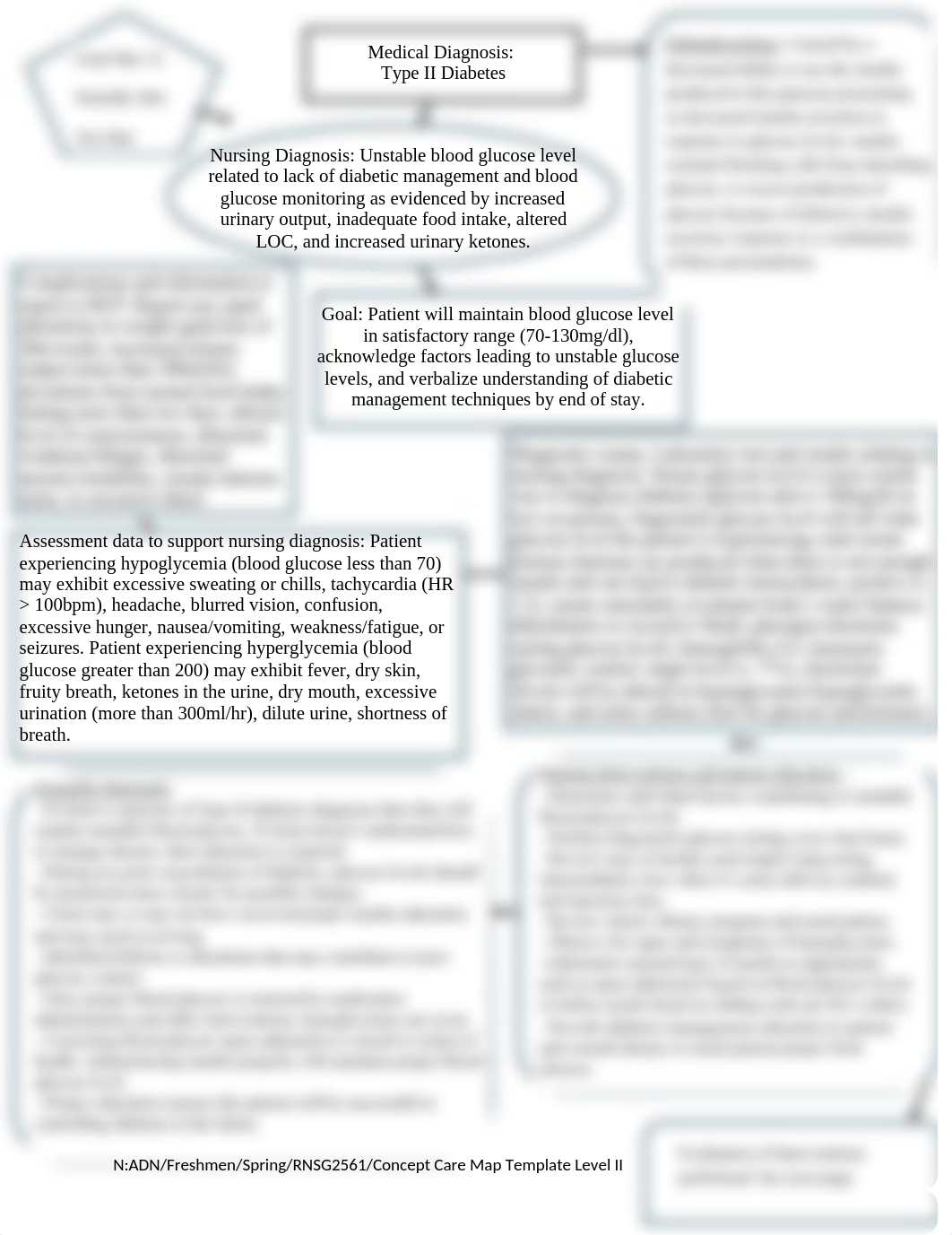 type two diabetes concept map.docx_dn3ilydq5xw_page1