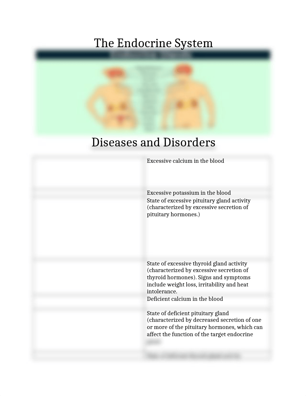 The Endocrine System[2451].docx_dn3lfi699oy_page1