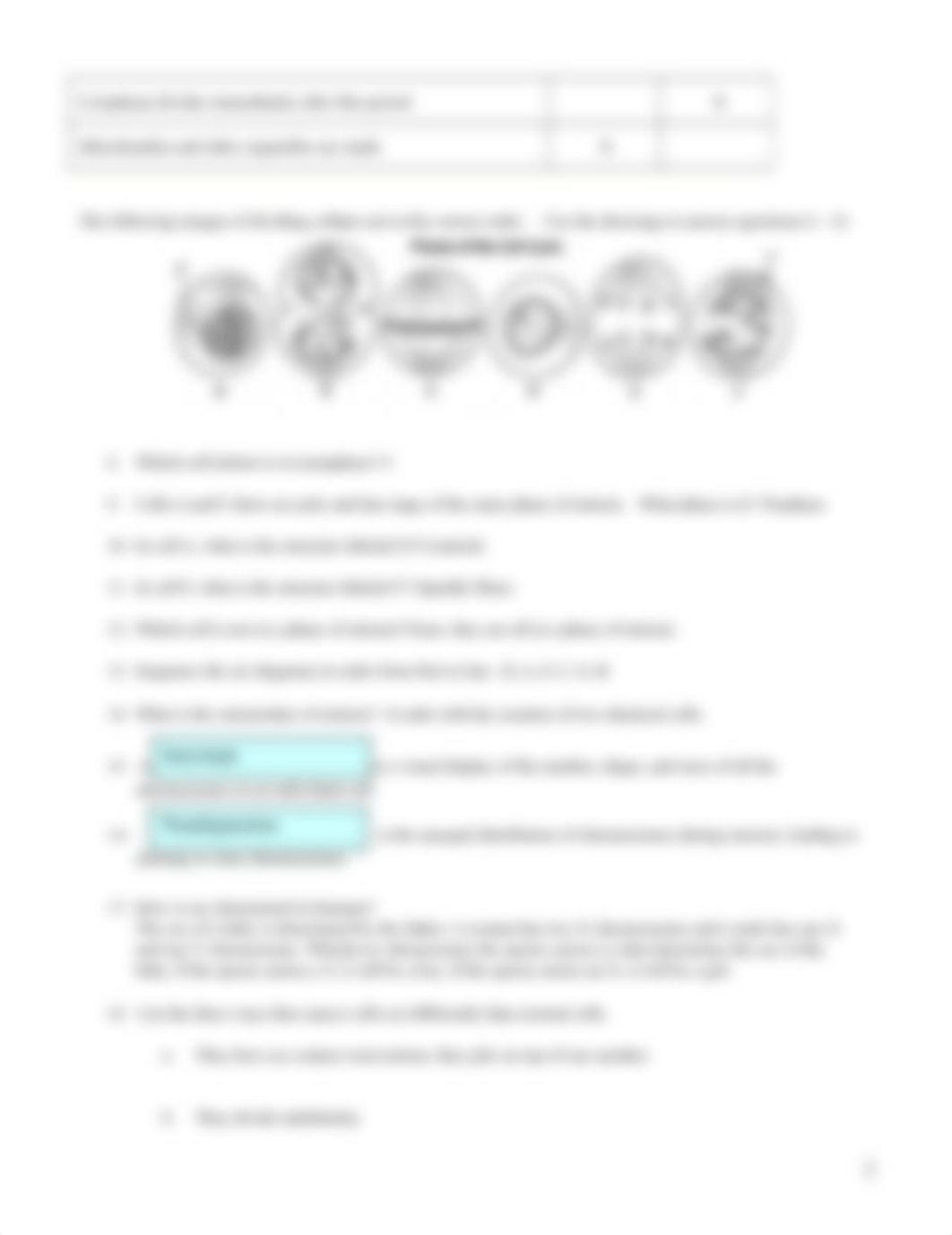 Mitosis Worksheet (2020).docx_dn3otiaes8x_page2