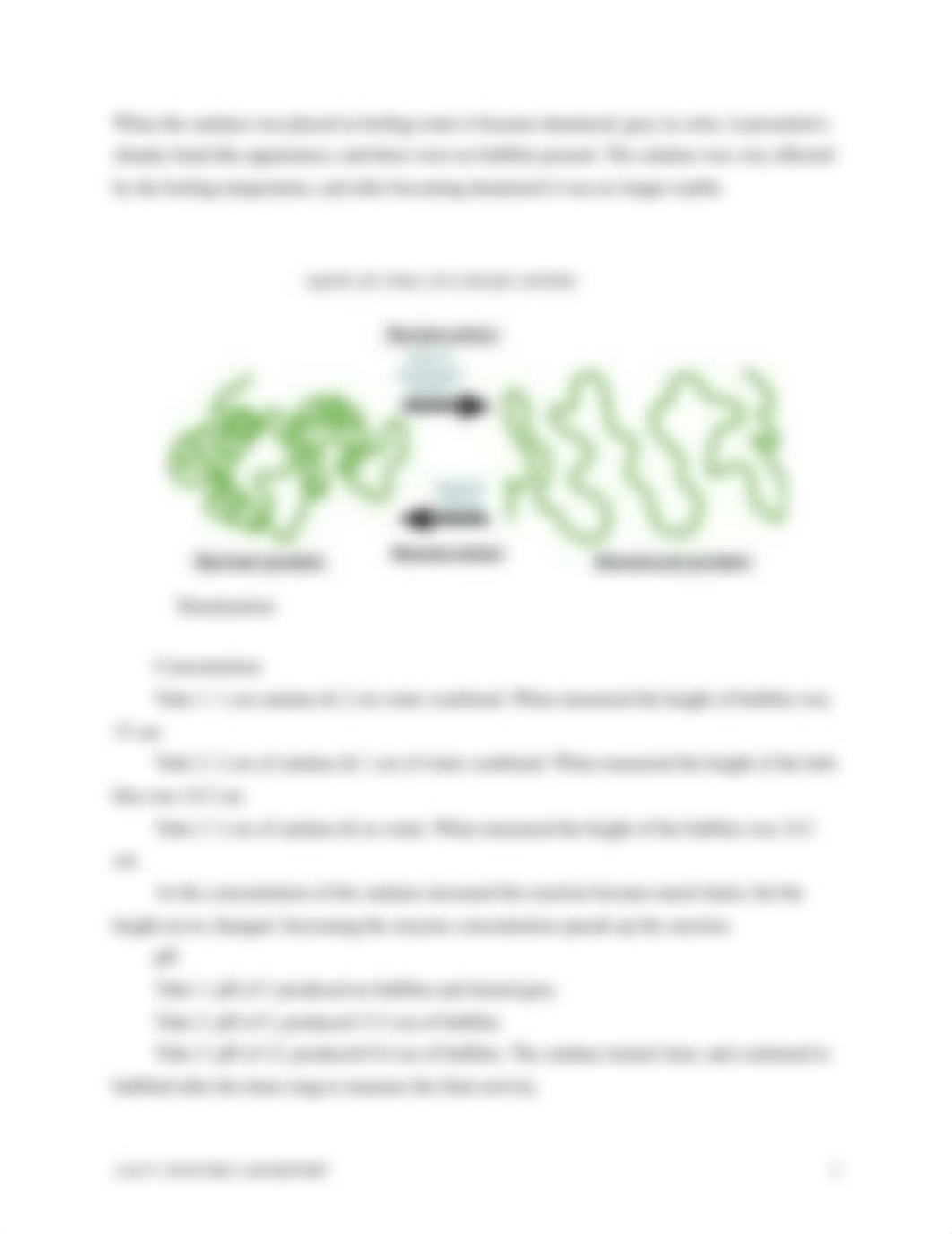 A&P 1 Enzyme Report.docx_dn3qh4rnxnd_page3