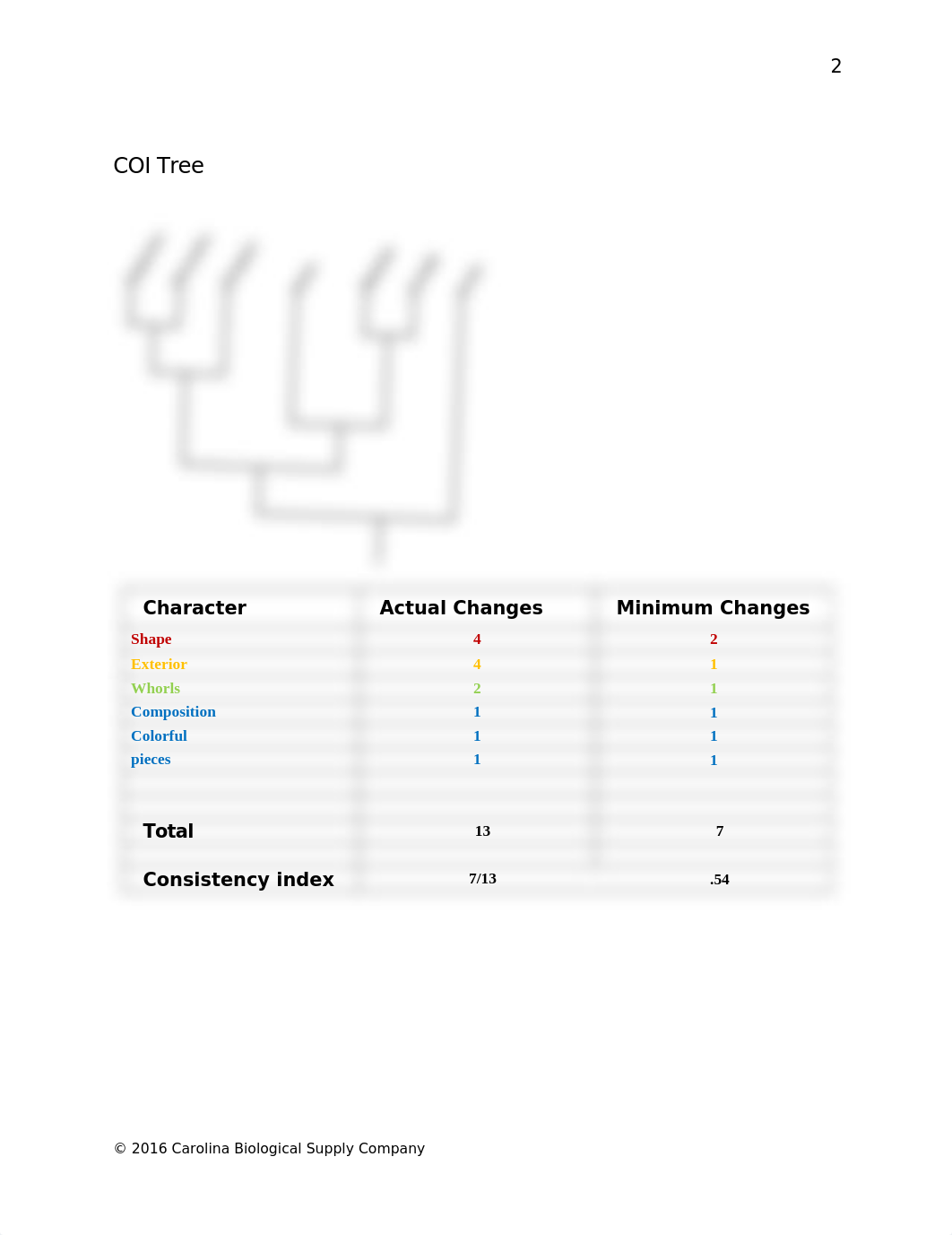 Cladistics.docx_dn3tsct0l32_page3