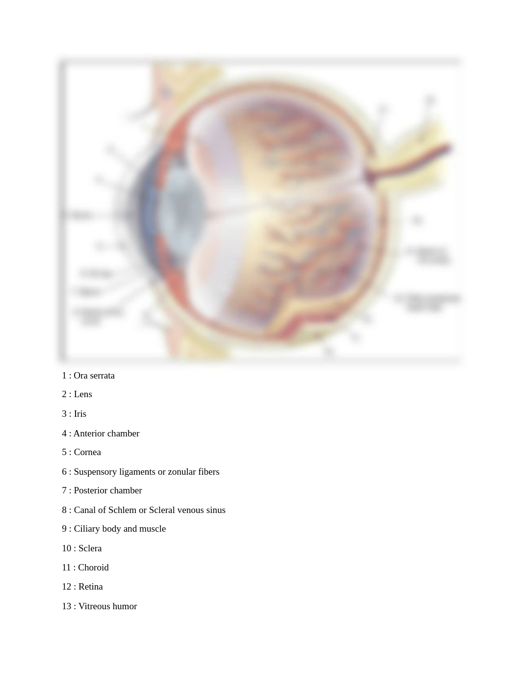 BIOL2402exam1.docx_dn3zvc93db6_page1