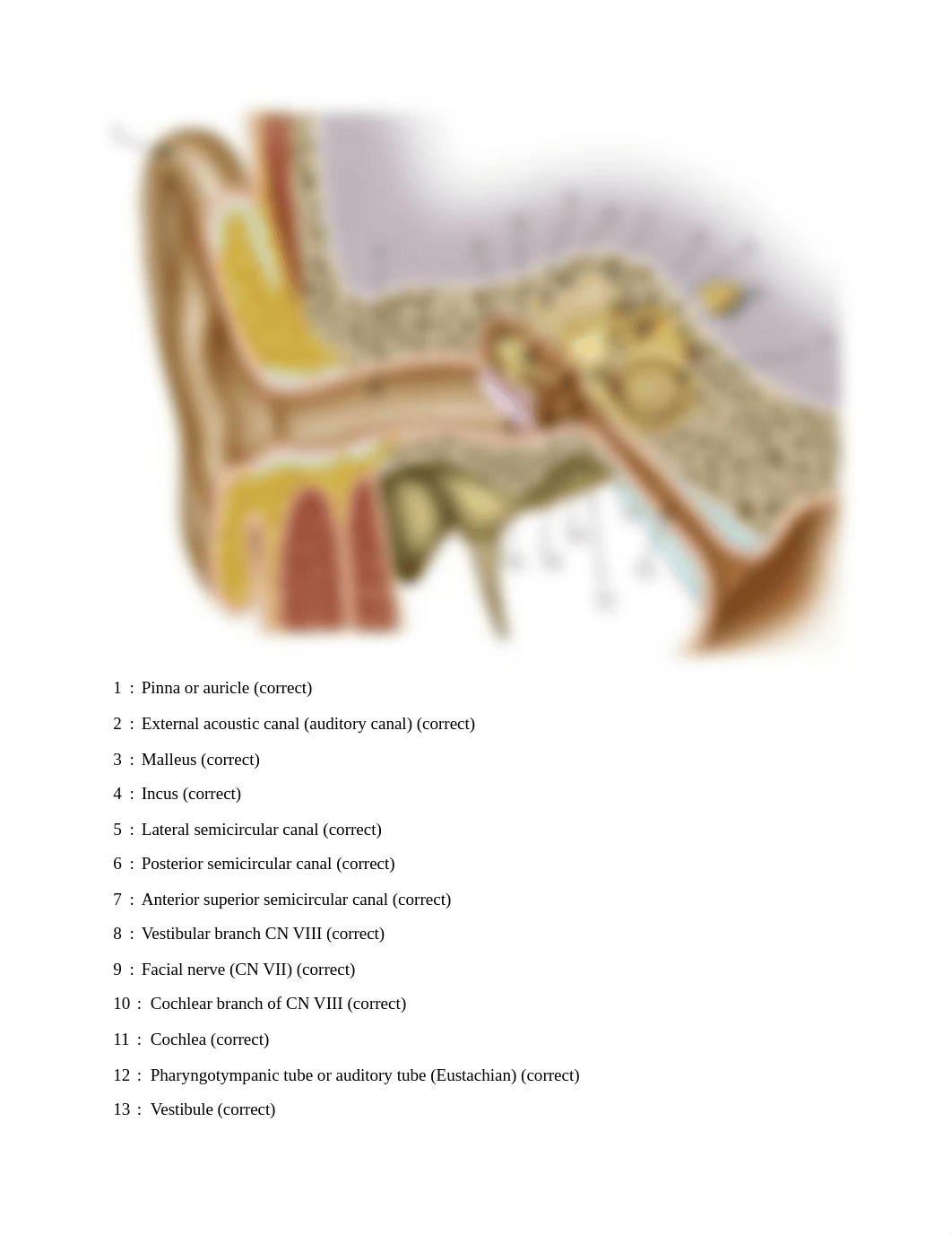 BIOL2402exam1.docx_dn3zvc93db6_page3