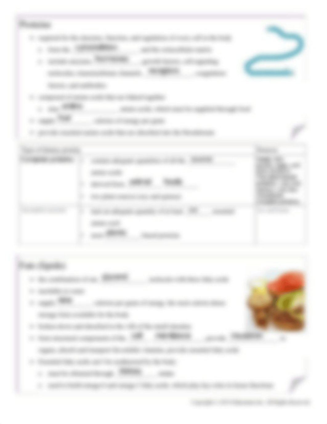 Notes-Macronutrients and Micronutrients (5-20).pdf_dn43lwesmks_page3