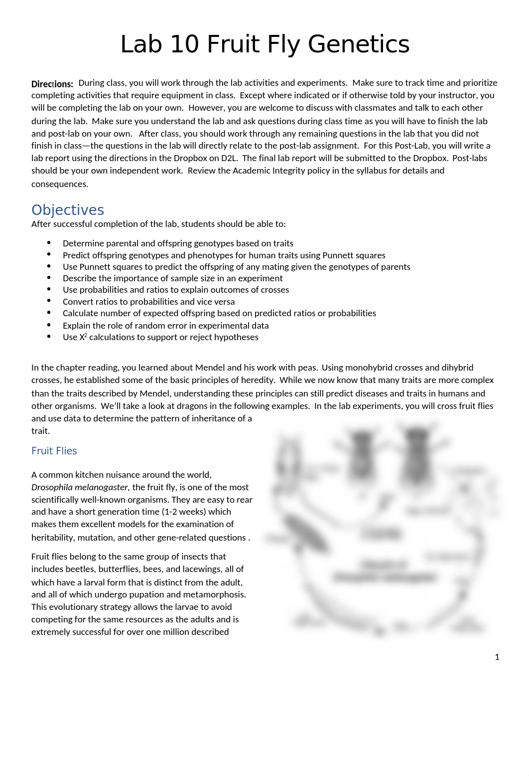 Lab 10 Fruit fly Genetics_Sp22revA.docx_dn49l0o55un_page1