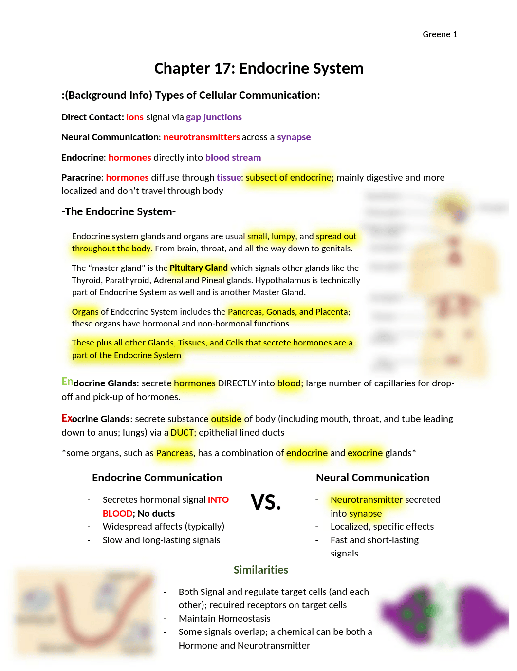 Chapter 17 Endocrine System.docx_dn4c9c59vw4_page1