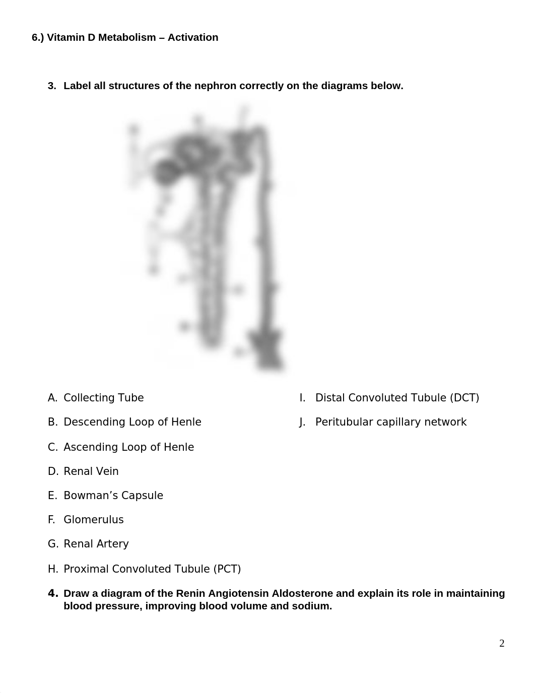 Renal Assessment Assignment 2020-1.docx_dn4cylj44xd_page2