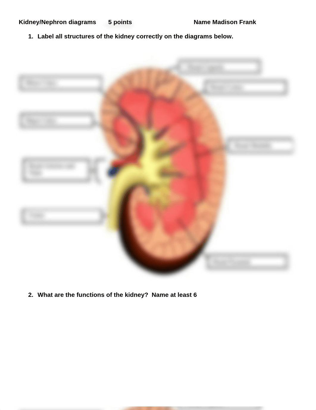 Renal Assessment Assignment 2020-1.docx_dn4cylj44xd_page1