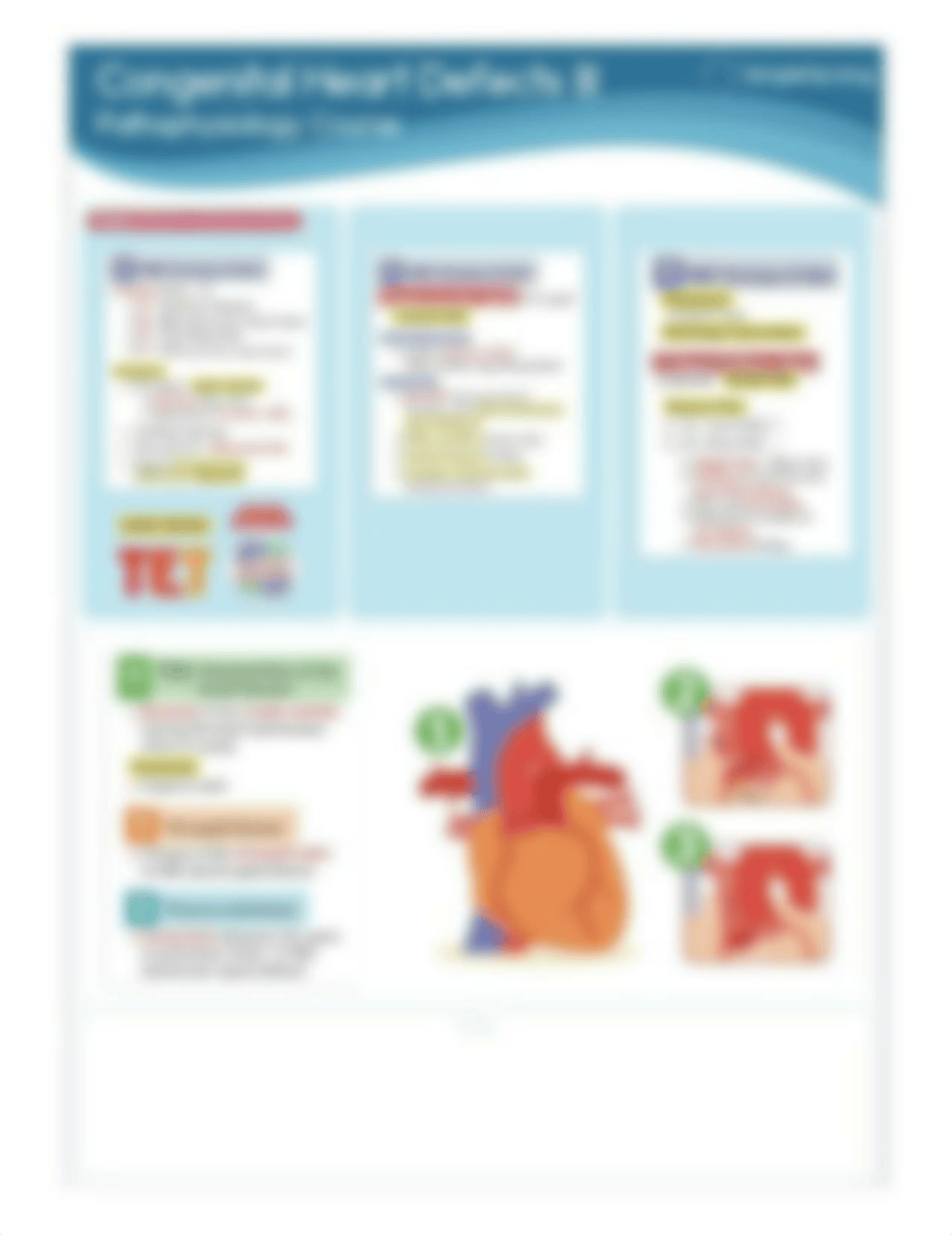 Congenital Heart Defects 3.jpg_dn5q9b23lor_page1