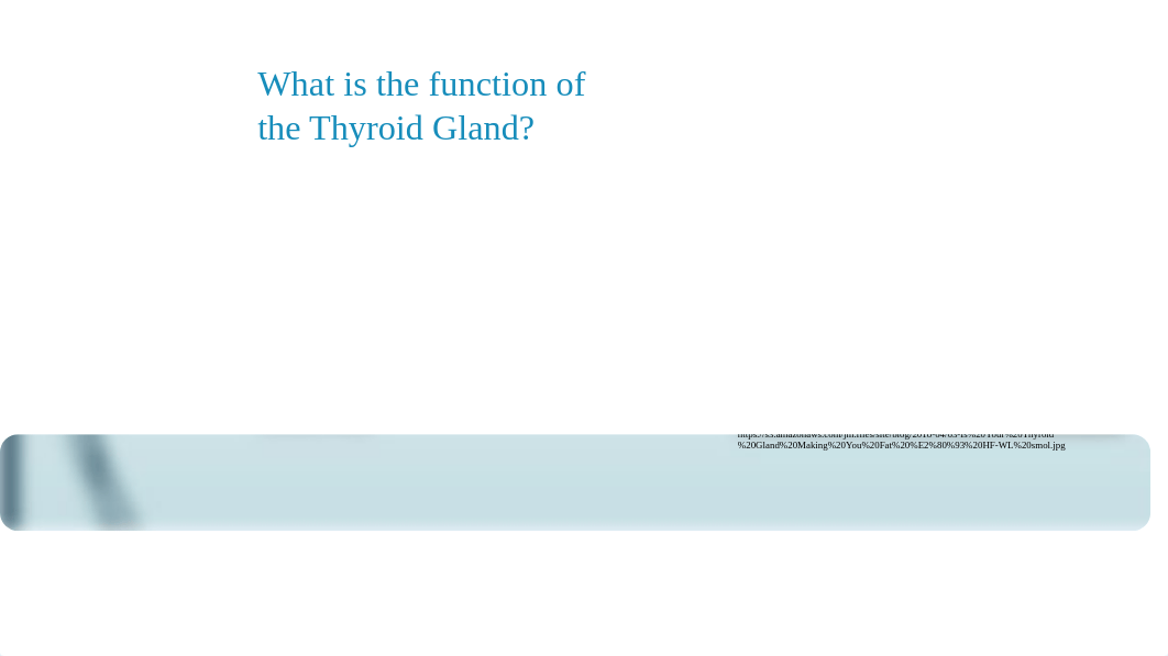 NAT 303 M-9 PPT Thyroid Disorders.pptx_dn5sgoqy5kq_page3