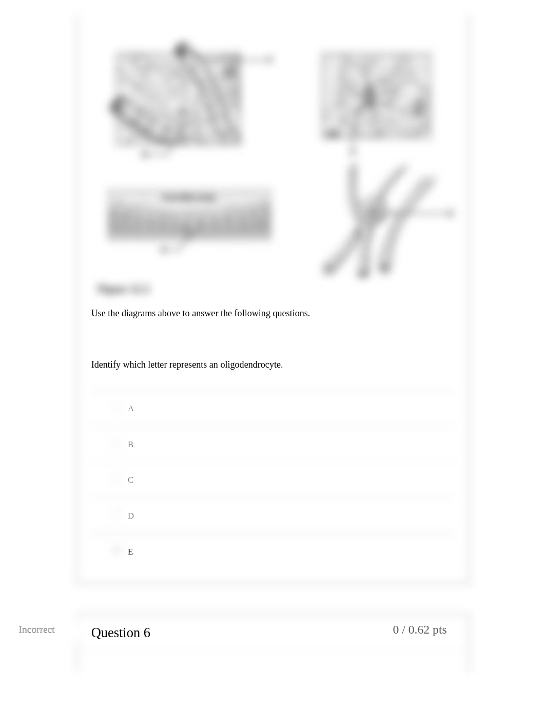 MT3_Nervous_SpSenses_Endo (Secure Browser): BIOL-16-12132 & 12133 (FALL 2021).pdf_dn5xgruuexb_page5