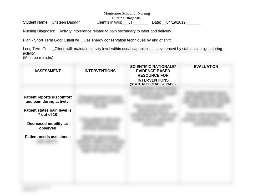 Nursing Care Plan Blank-Maternity 2.doc_dn5y3wdpqky_page1