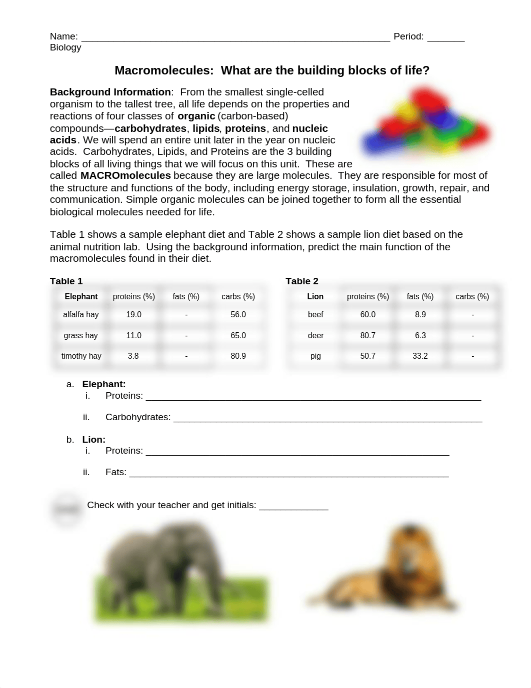 Lion Elephant Macromolecules 2019.docx.pdf_dn5znugg2gn_page1