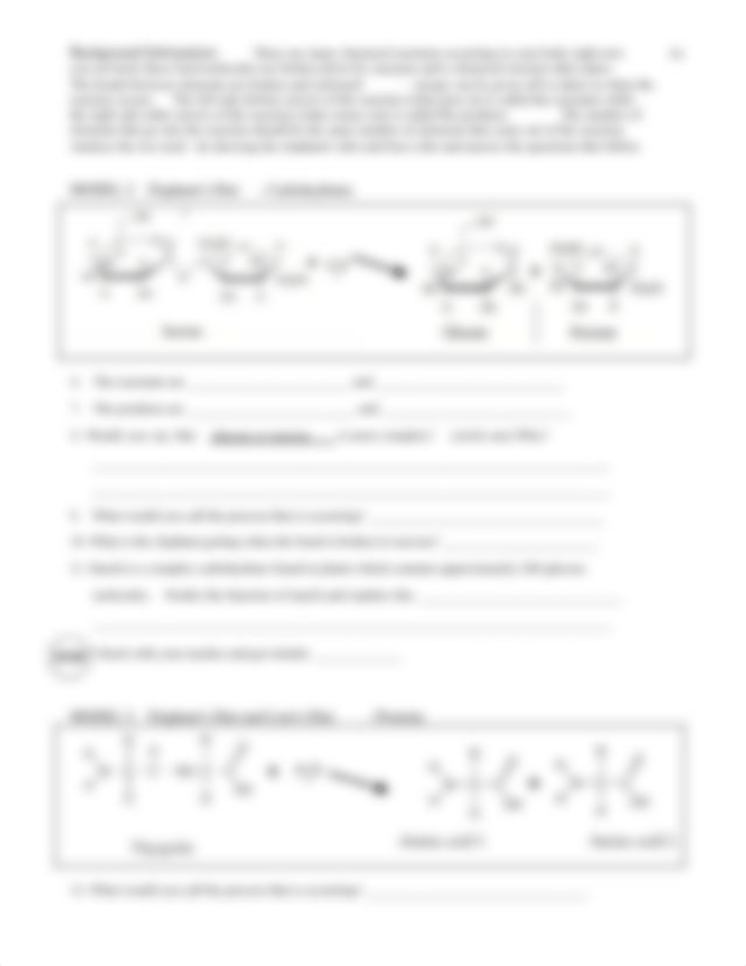 Lion Elephant Macromolecules 2019.docx.pdf_dn5znugg2gn_page3