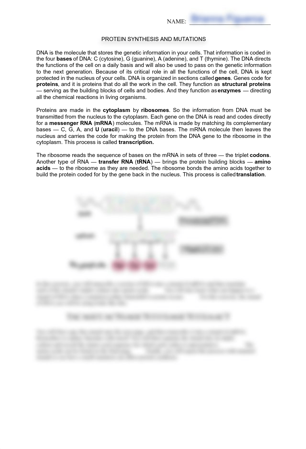 Protein Synthesis Homework .pdf_dn612emrk1j_page1