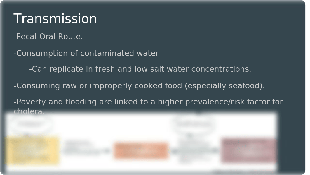 Cholera Presentation Microbiology_dn6fnbugxue_page4