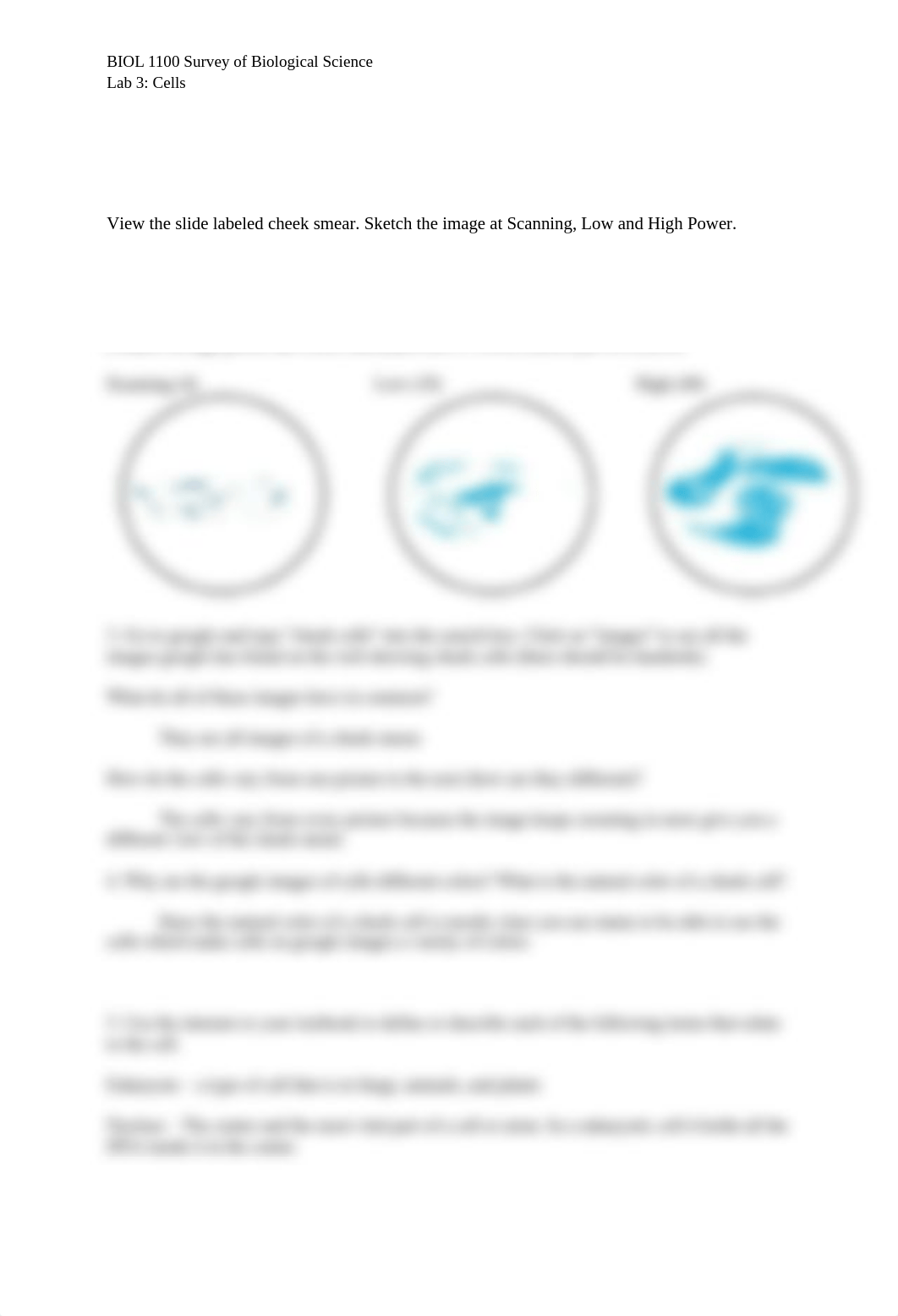 Lab 3 - Cells (1).docx_dn6gxftqzpx_page2