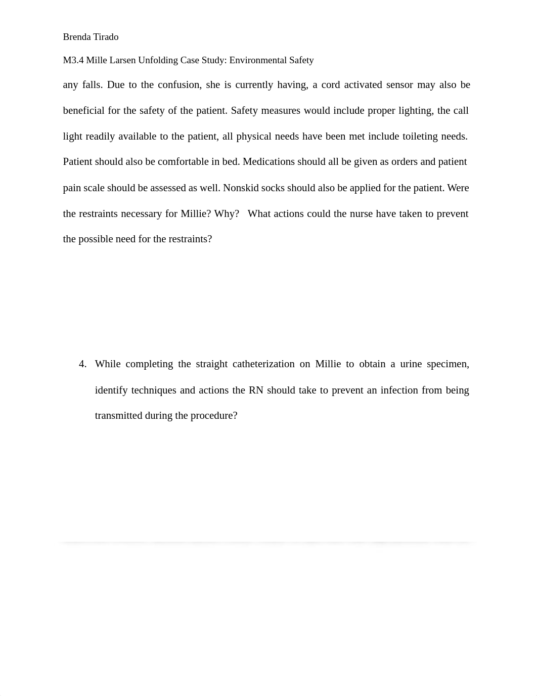 M3.4 Mille Larsen Unfolding Case Study Environmental Safety.pdf_dn6iai3u03w_page2