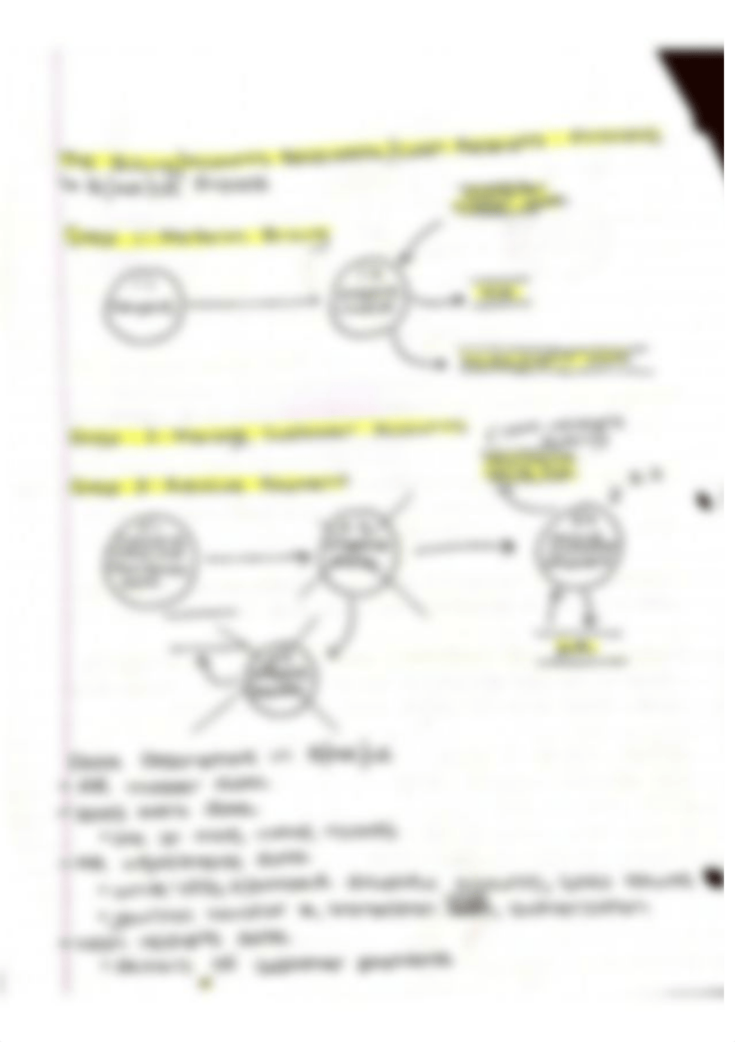 Five major transaction cycles, processing business activities notes_dn6jegwyfv7_page4