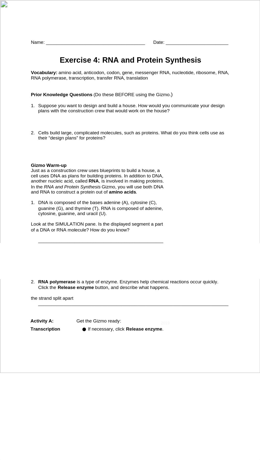 Exercise 4 - RNA and Protein Synthesis.docx_dn6jeklscbd_page1