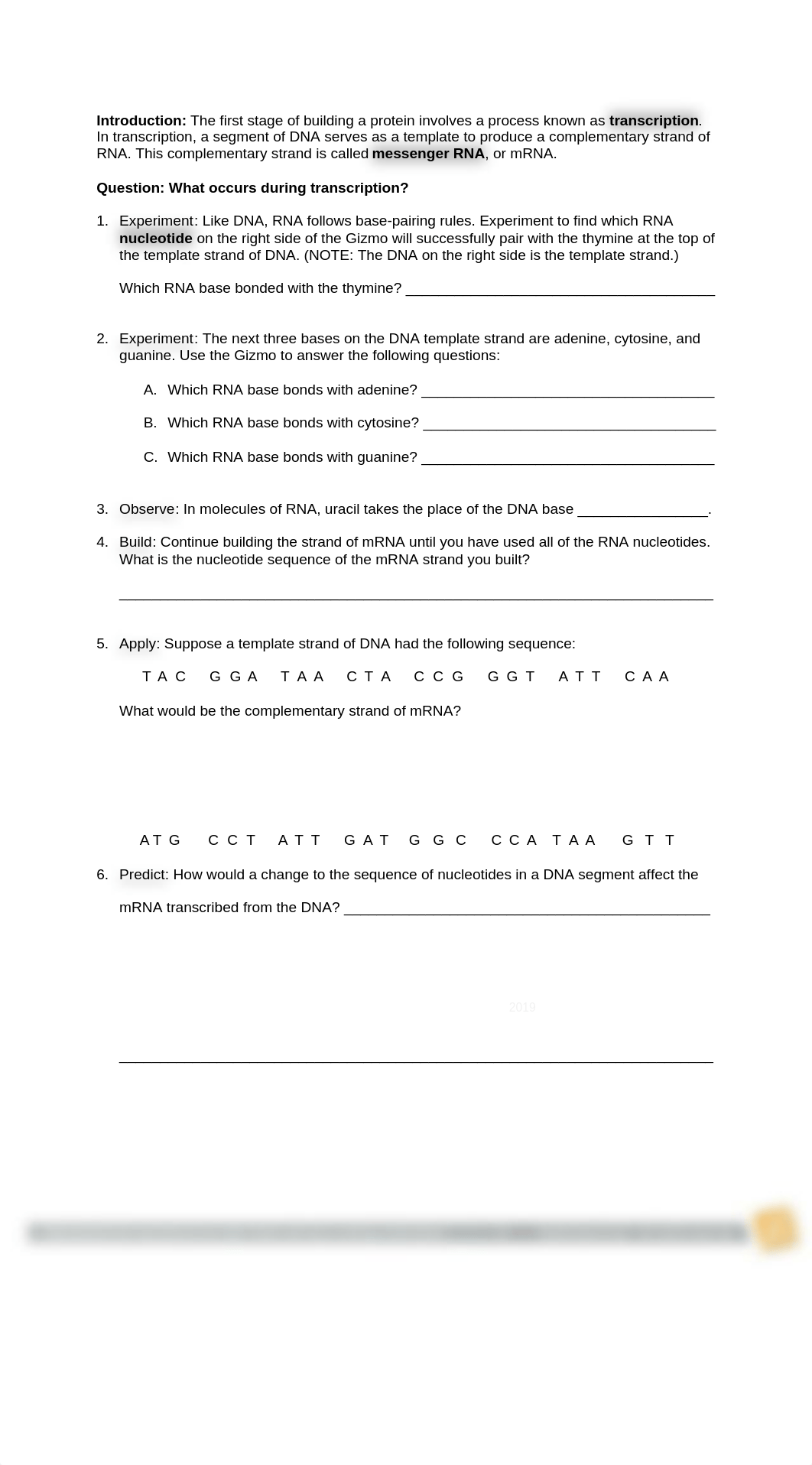 Exercise 4 - RNA and Protein Synthesis.docx_dn6jeklscbd_page2