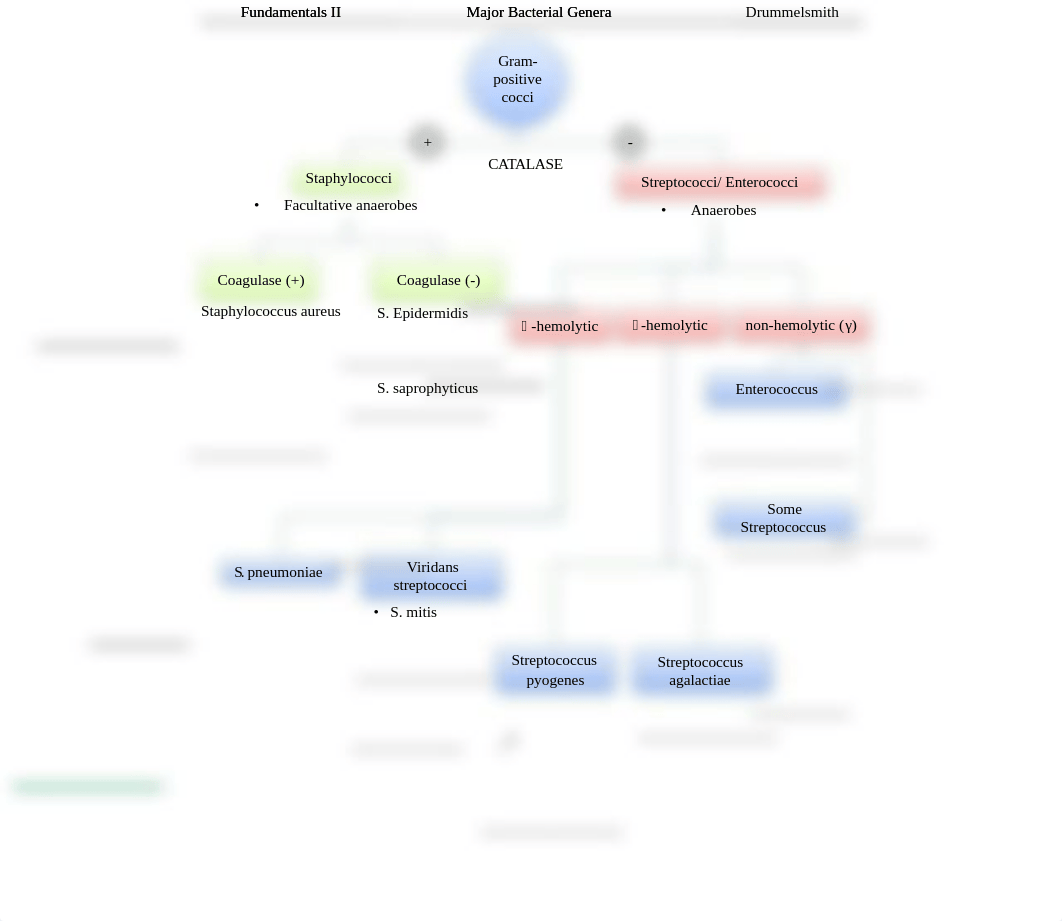 Micro disease flowchart.pdf_dn6t1wfvfso_page2