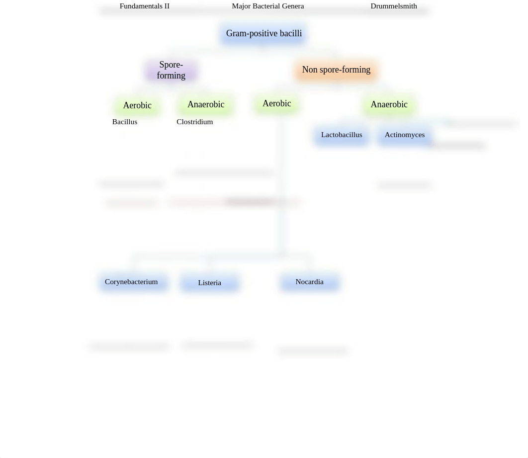 Micro disease flowchart.pdf_dn6t1wfvfso_page3