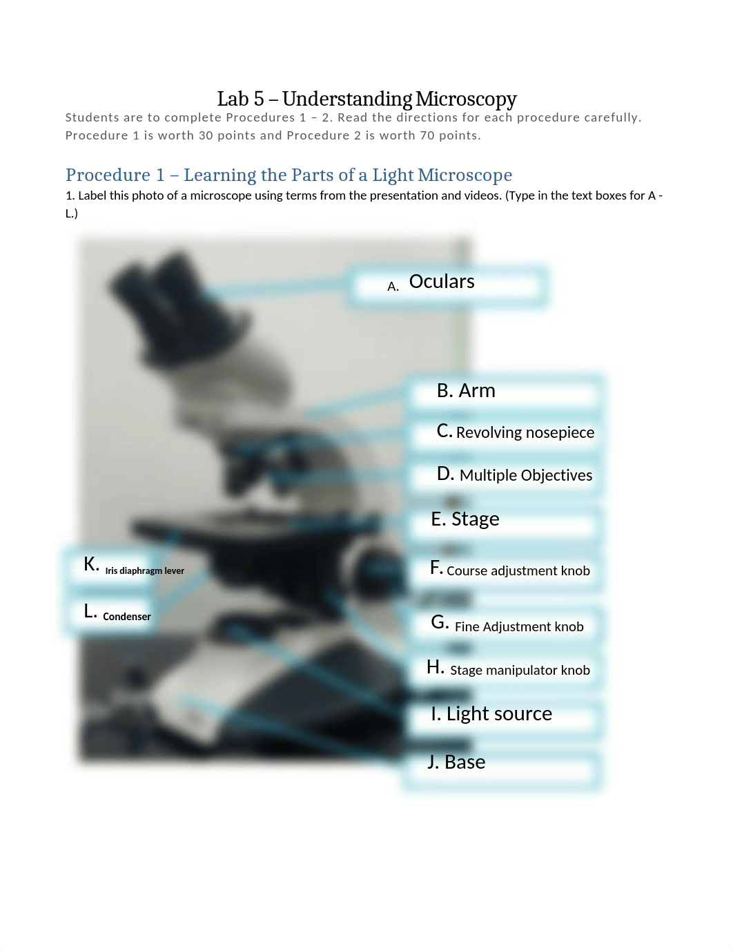 Lab5 Virtual Microscope worksheet.docx_dn719jsuu17_page1