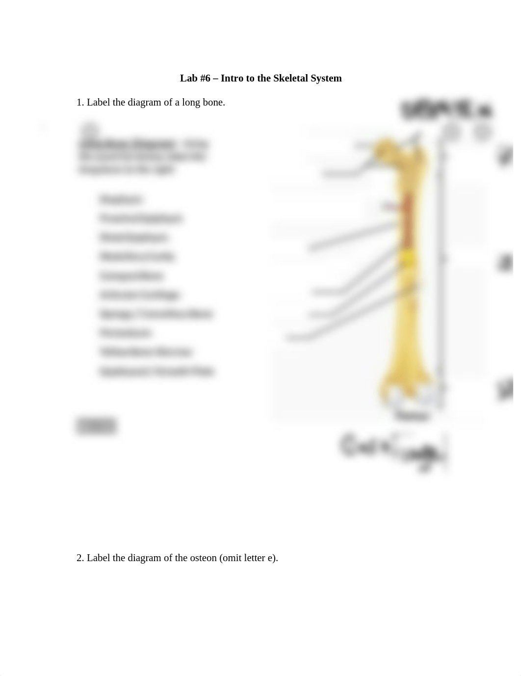 Lab 6 Lab Report (1).docx_dn71a440tlw_page1