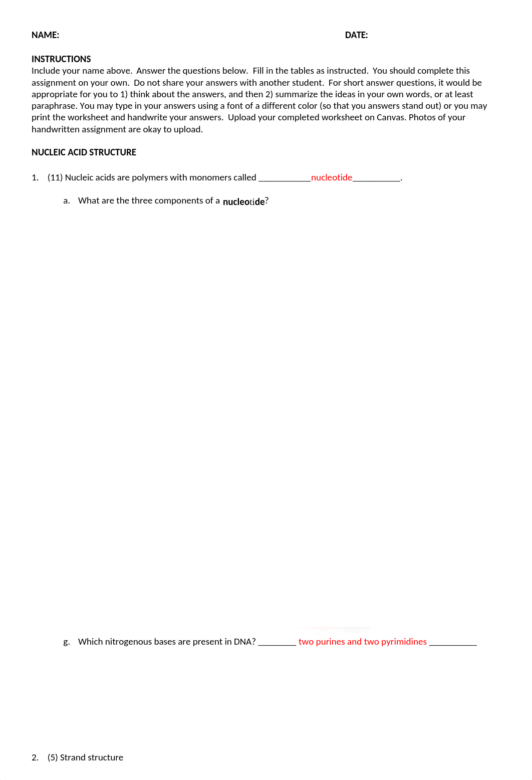 DNA structure, DNA replication, transcription and translation worksheet_ASSIGNMENT.docx_dn772l83jl3_page1