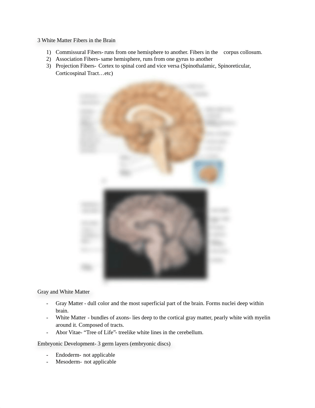 Chapter 14- Brain and Cranial Nerves_dn78p05dp7w_page2