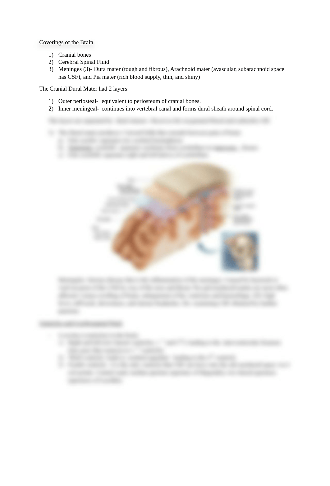 Chapter 14- Brain and Cranial Nerves_dn78p05dp7w_page4