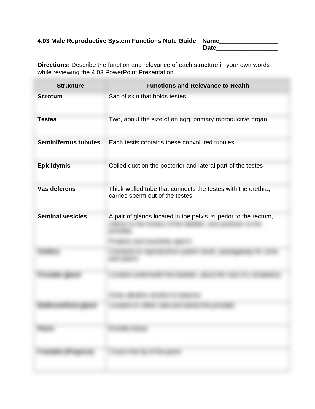 Copy of 4.03 Male Reproductive Diagram and Notes.docx_dn7aeoyzq2c_page2